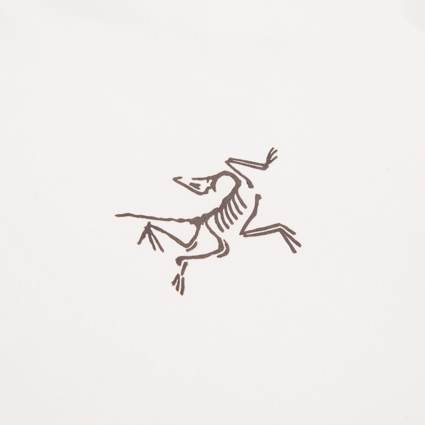 Arc'teryx Kragg Cotton LS M (White Light / Black)