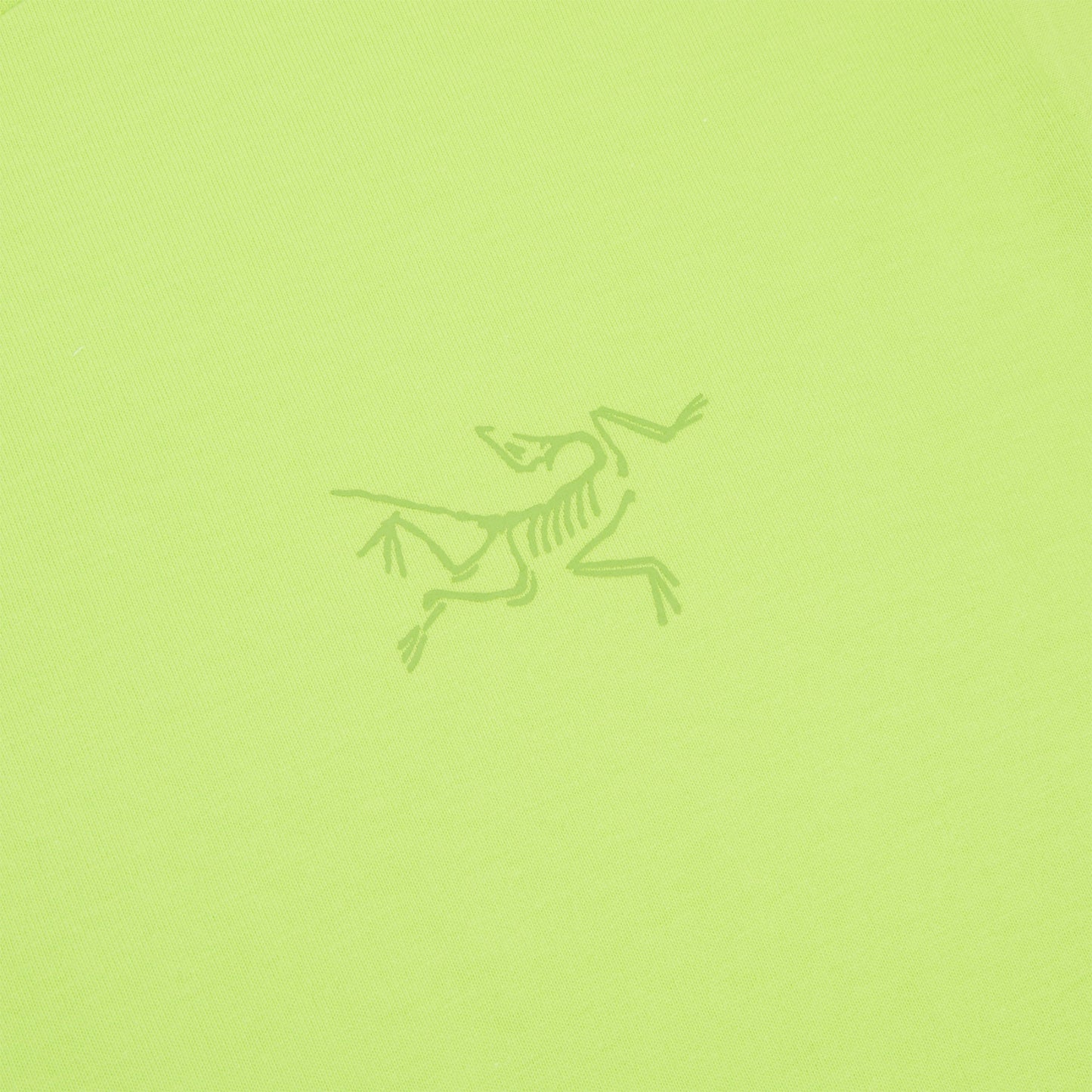 Arc'teryx Kragg Cotton LS M (Mantis)