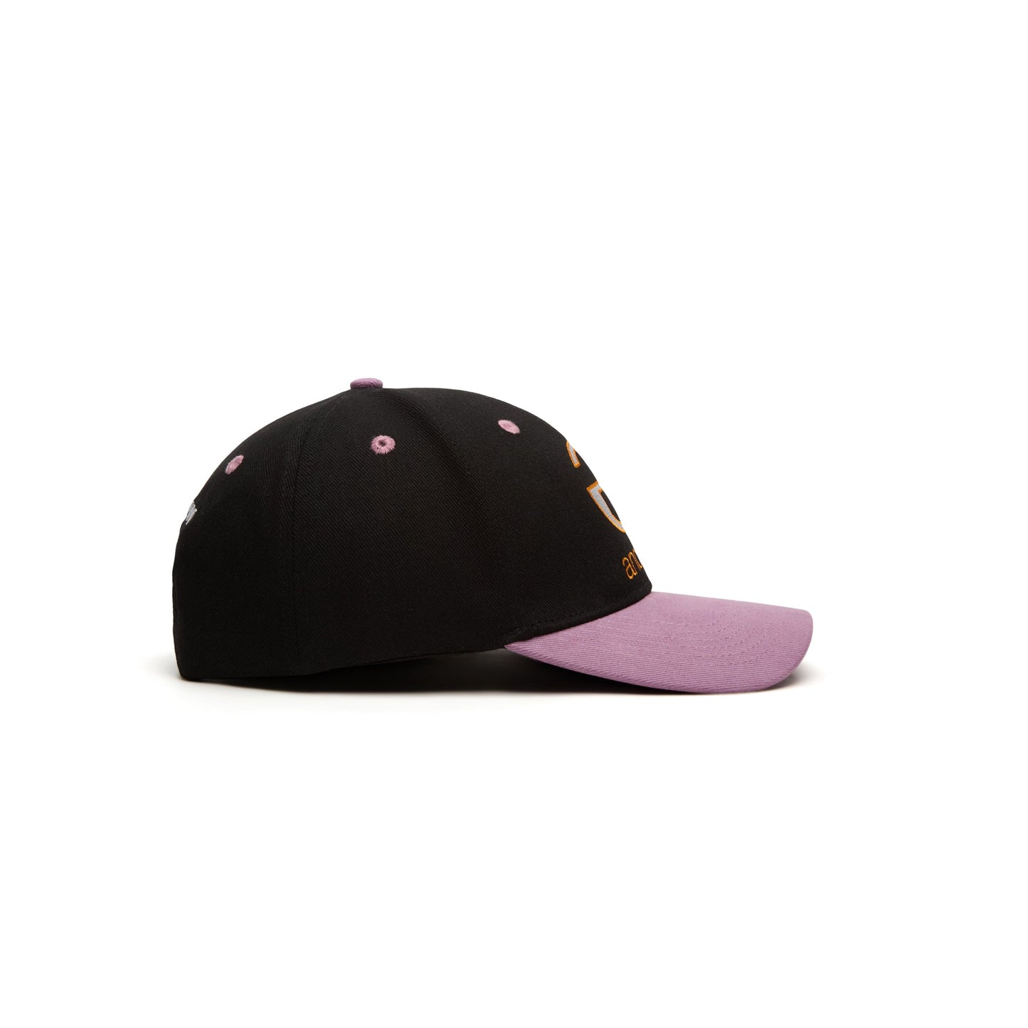 Andrew Lowercase 6 Panel Dad Hat (Black)