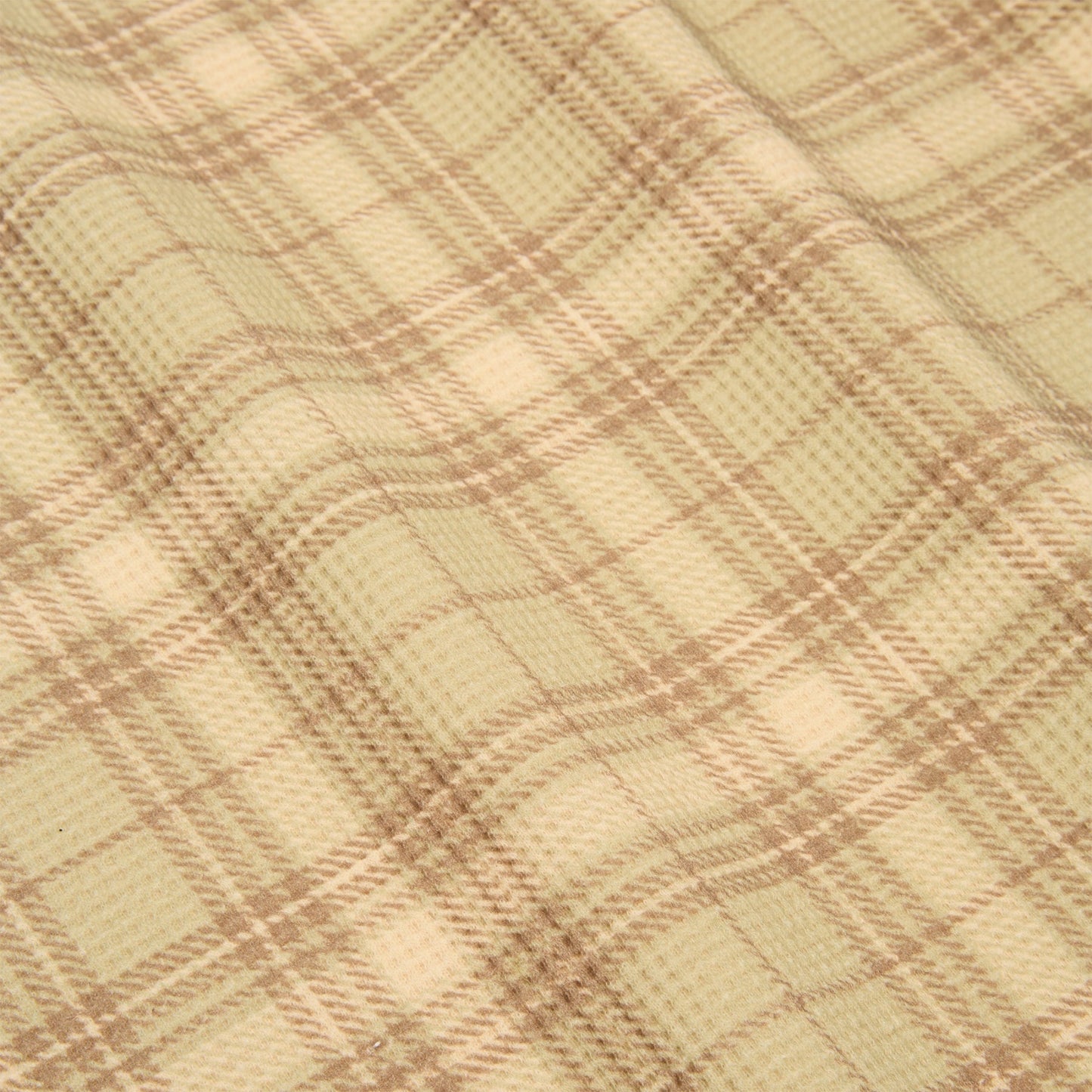 Carpet Company Plaid Thermal (Cream)