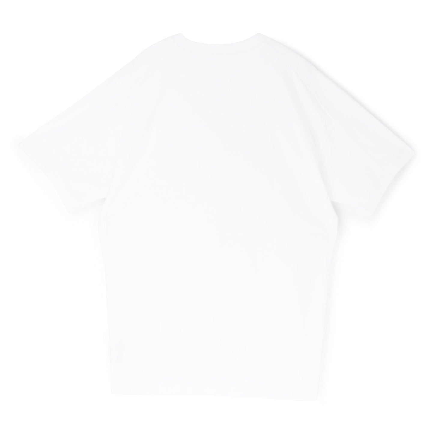 Arc'teryx Kragg SL Cotton SS M (White Light)