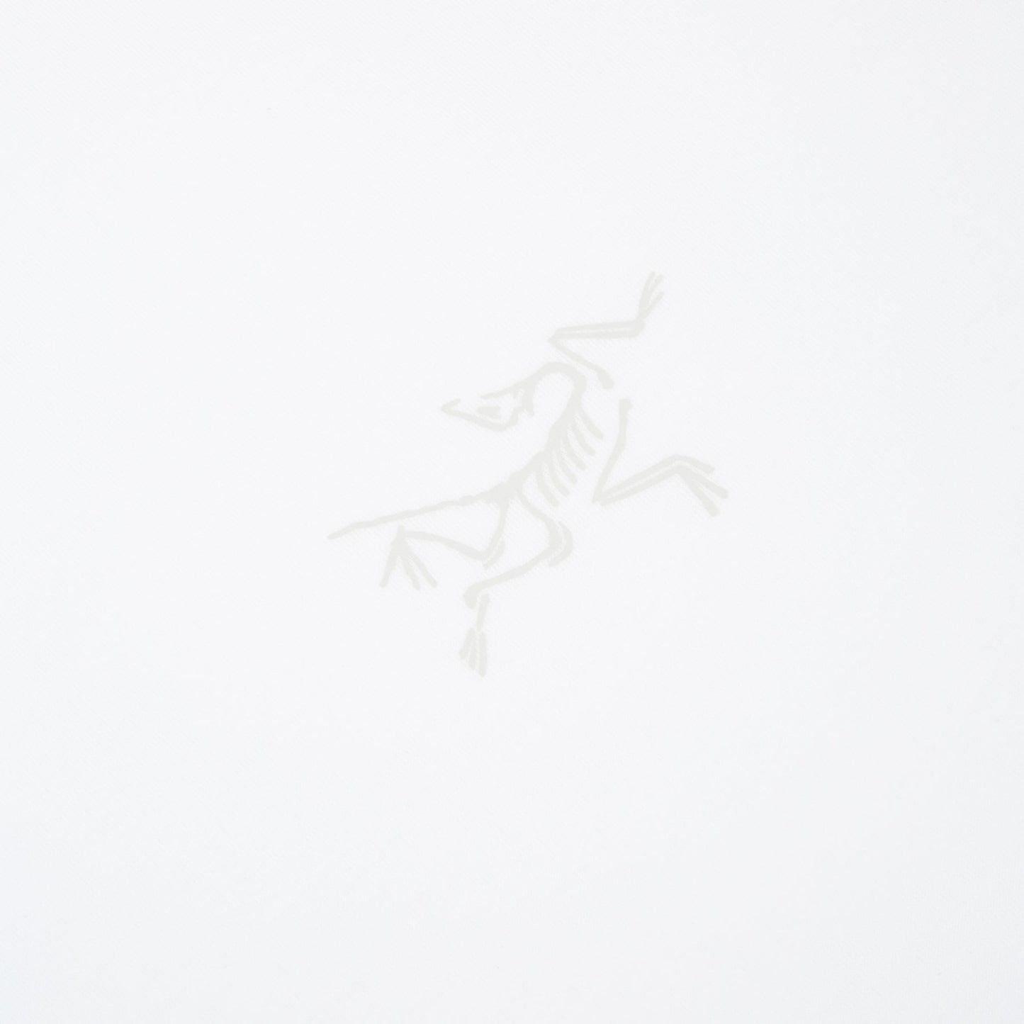 Arc'teryx Kragg SL Cotton SS M (White Light)